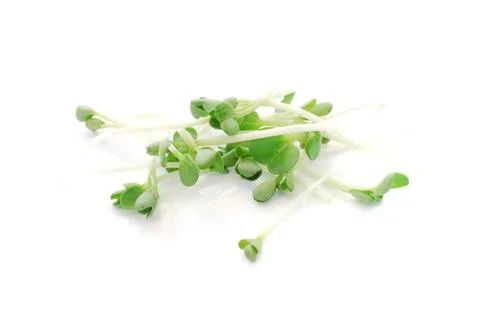 Peas close up on white background Stock Photos