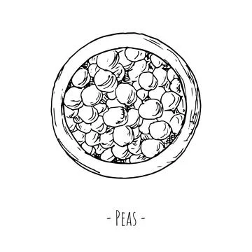 Peas cup. Vector illustration. Isolated on white. Top view. Stock Illustration