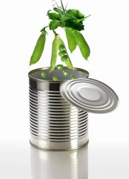 Peas falling into a tin can Foto stock