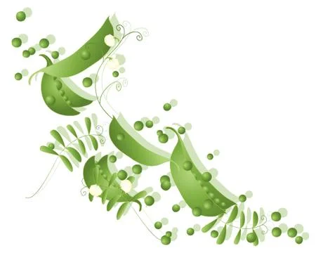 Peas Illustrazione stock