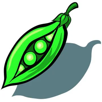 Peas Illustrazione stock