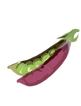 Peas Stock Illustration