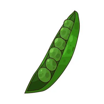 Peas illustration Stock-Illustration