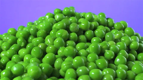 Peas isolated rotating on purple background Stock Footage 62392726