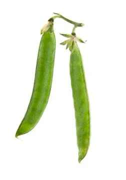 Peas isolated on white background Stock Photos