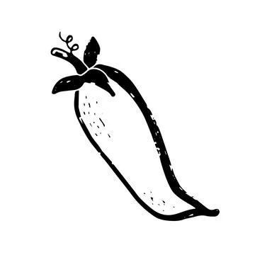 Peas. Line art, doodle, texture outline. Hand drawing. Vector element. Stock Illustration