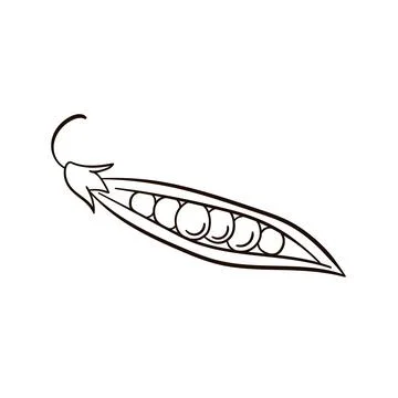 Peas in line art style. Vector Illustration of Peas icon isolated on white Stock Illustration