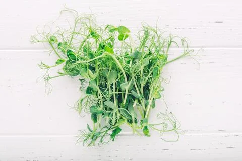 Peas microgreens on a white table. Stock Photos