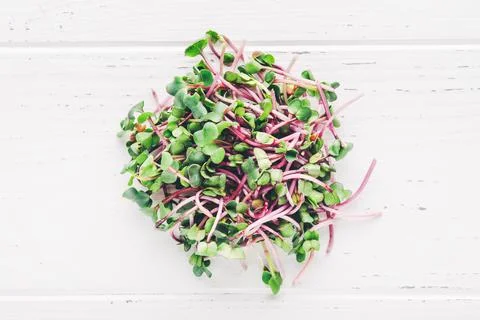 Peas microgreens on a white table. Stock-Fotos