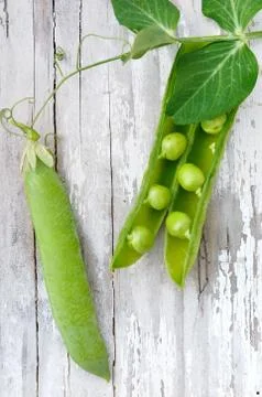 Peas on opening pod Stock Photos