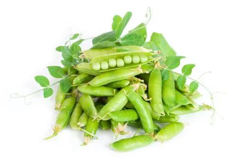 Peas Stock Photos