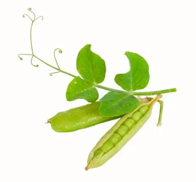 Peas Stock Photos