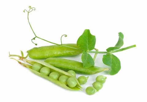 Peas Stock Photos