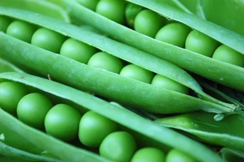 Peas Stock Photos