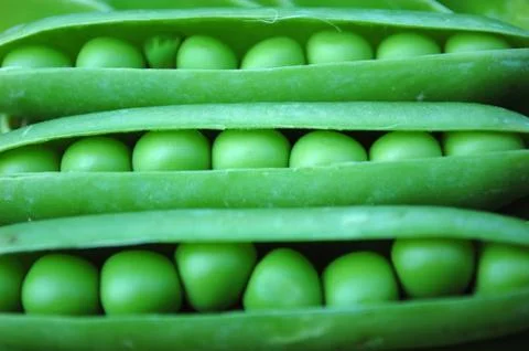 Peas Stock Photos