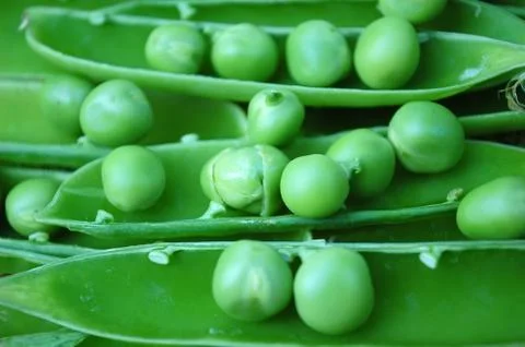 Peas Stock Photos