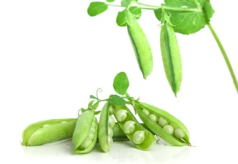 Peas Stock Photos