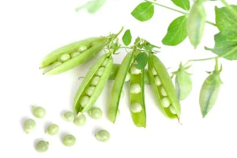 Peas Stock Photos