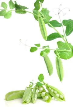 Peas Stock Photos