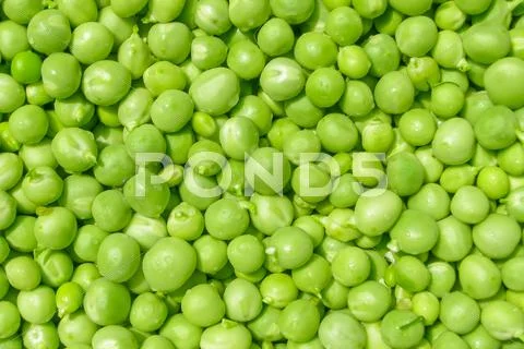 Peas picture Stock Photos