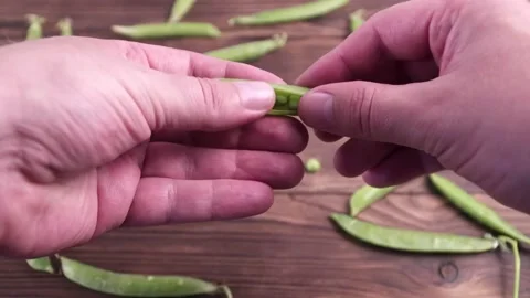 Peas in a pod closeup Stock Footage 134425539