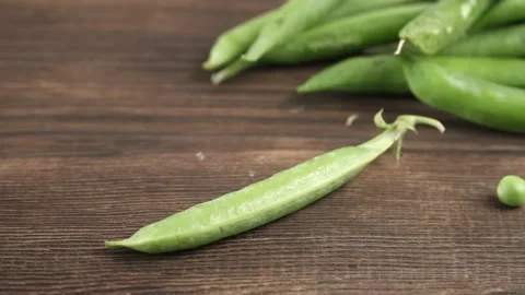 Peas in a pod closeup Stock Footage 134425593