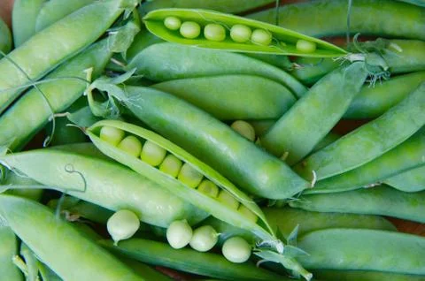 Peas in a pod Stock Photos