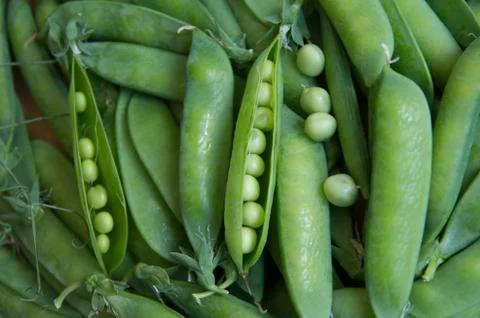 Peas in a pod Stock-Fotos