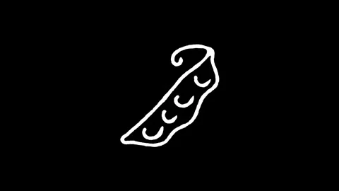 Peas Pod Vegetable Icon Stock Footage 345592954