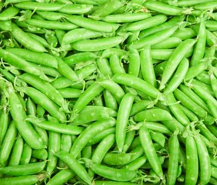 Peas in Pods Stock Photos