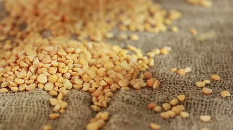 Peas spilling on burlap. harvesting Stock Footage 59868109