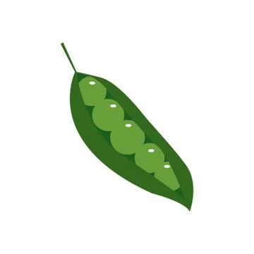 Peas vector design template illustration Stock Illustration