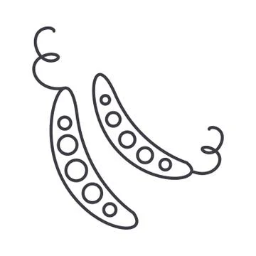 Peas vector line icon, sign, illustration on background, editable strokes Stock Illustration