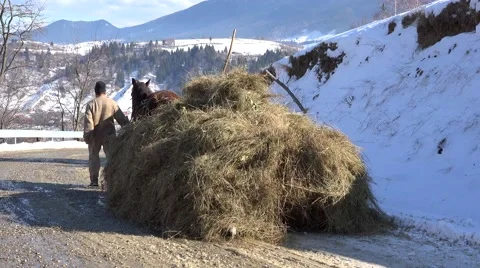 Peasant carrying the hay in sledge pulled by horse in wintertime Stock Footage 56087780