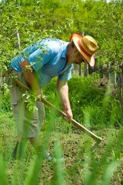 Peasant digging in the garden Stock Photos