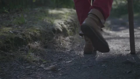 Peasant in the forest Stock Footage 146829742