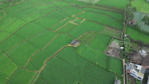 Peasant hut 動画素材 237569994