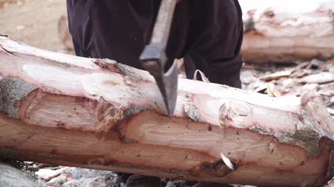 Peasant Labourer Cutting The Outer Bark Of Logs In The Forest Stock Footage 290342398