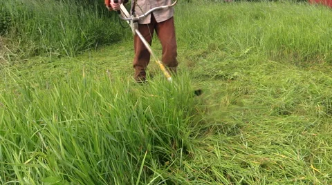 Peasant man with trimmer cut grass in summer garden. Closeup 스톡 동영상 48578893