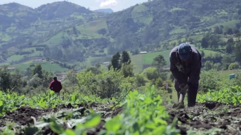 Peasant plowing the earth on background mountains Vídeos de archivo 75167189