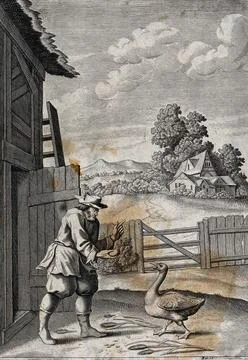 A peasant is showing a goose a large egg; illustration for a fable. Etching. Illustrazione stock