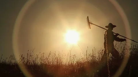 Peasant in the sunrise 2 Stock Footage 50656070