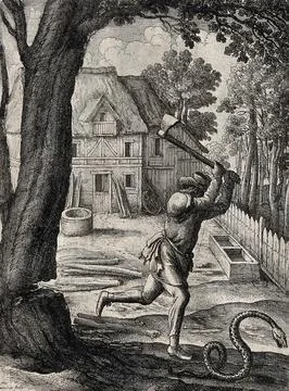 A peasant who was cutting down a tree turns his axe on a passing snake. Etc.. Stock Illustration
