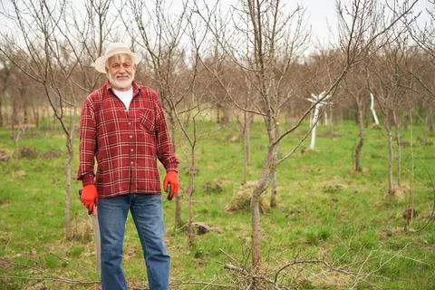 Peasant working in garden in spring. Stock Photos