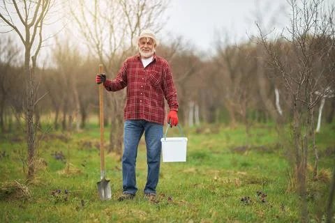 Peasant working in orchard in spring. Stock Photos