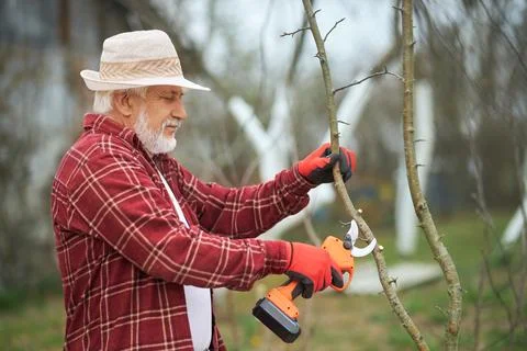 Peasant working in orchard in spring. Stock Photos