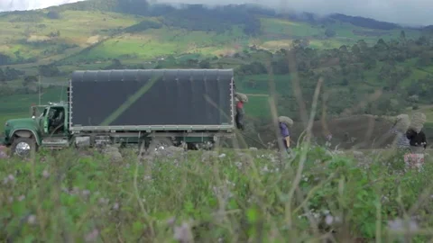Peasants in country field loading a burlap sacks filled with potatoes into a 스톡 동영상 75166351