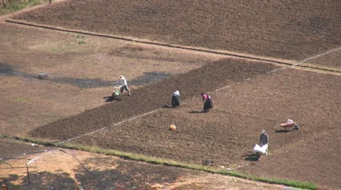 Peasants 스톡 동영상 2974167