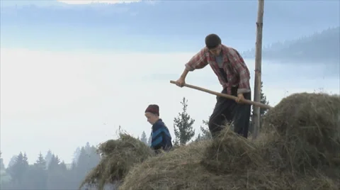 Peasants making hay Stock Footage 34432618