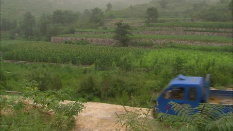 Peasants working in the fields growing beans and corn Stock Footage 131298036